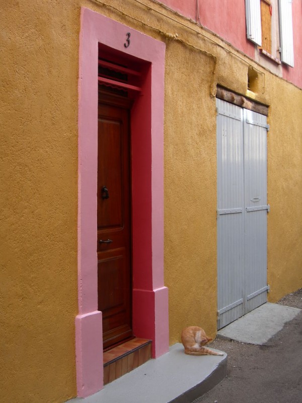 La porte rose et le chat roux